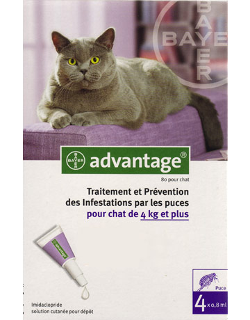 ADVANTAGE 80 - Pipette antipuces pour chats ADVANTAGE 80 - Pipette antipuces pour chats