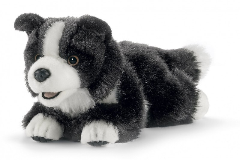 Chien Border Collie en Peluche 27 cm ANIMA