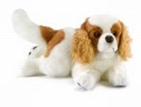 Chien Cavalier King Charles en Peluche 27 cm ANIMA