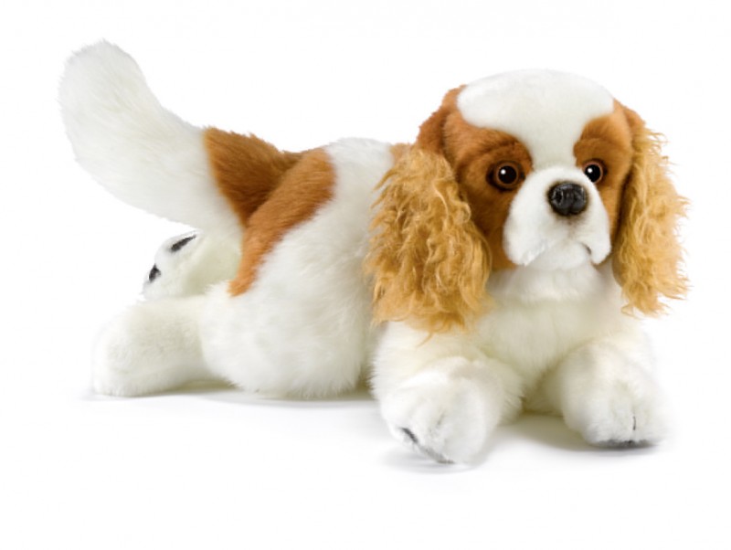 Chien Cavalier King Charles en Peluche 42 cm ANIMA