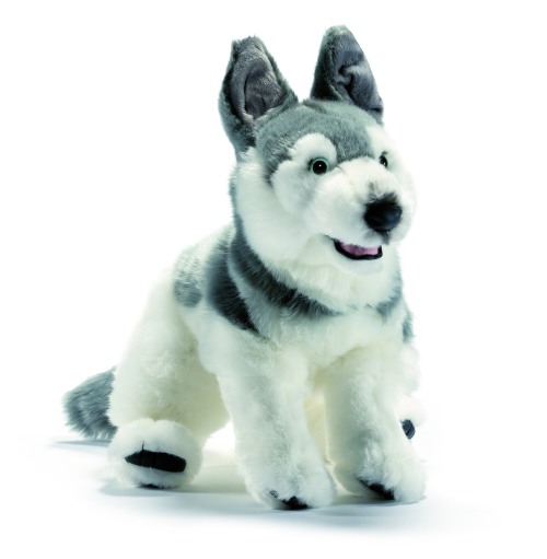 Chien Husky en Peluche 27 cm ANIMA