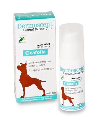 CICAFOLIA Cicatrisant pour chien CICAFOLIA Cicatrisant pour chien