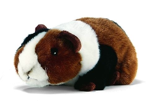 Cochon d'Inde en Peluche 17 cm ANIMA