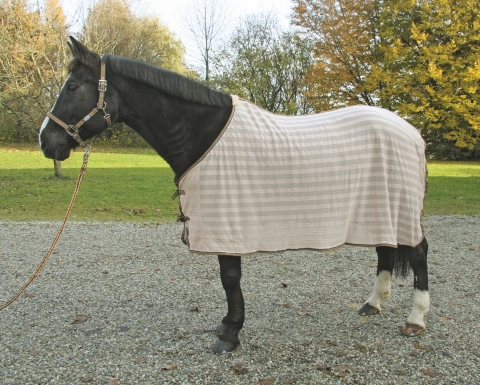 COUVERTURE SECHANTE ANTI-MOUCHE POUR CHEVAL