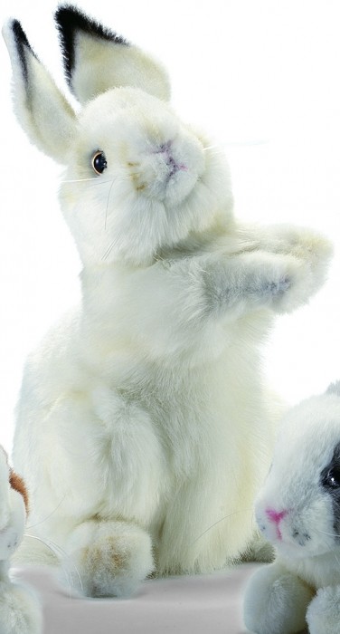 Lapin blanc dress� en Peluche 32 cm HANSA ANIMA