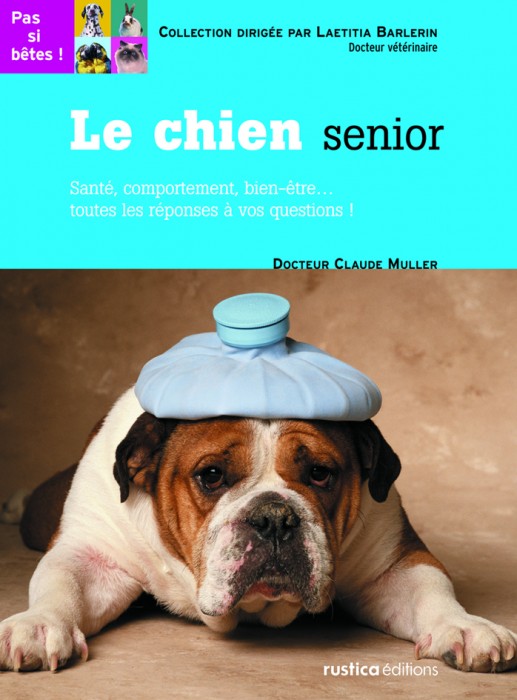 Le chien s�nior