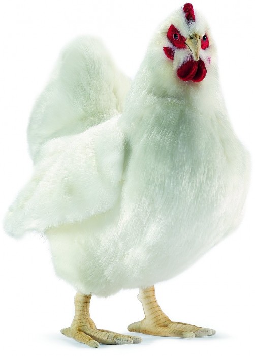 Poule blanche en Peluche 40 cm HANSA ANIMA
