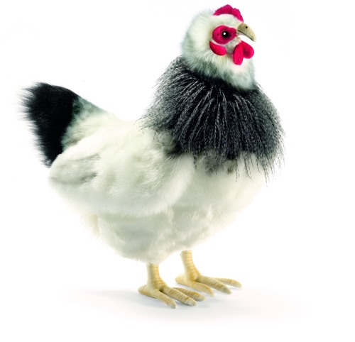 Poulette noire et blanche en Peluche 23 cm HANSA ANIMA