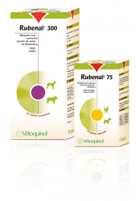 RUBENAL 300 Insuffisance r�nale pour chiens