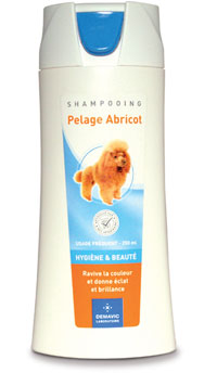 SHAMPOOING PELAGE ABRICOT pour chiens SHAMPOOING PELAGE ABRICOT pour chiens
