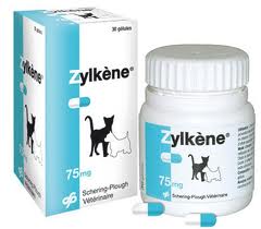 ZYLKENE 75 - Calmant pour chats et chiens