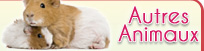 Autres animaux Autres animaux