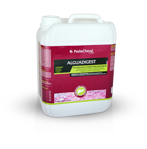 ALGUA DIGEST Soutien hpatique Chevaux