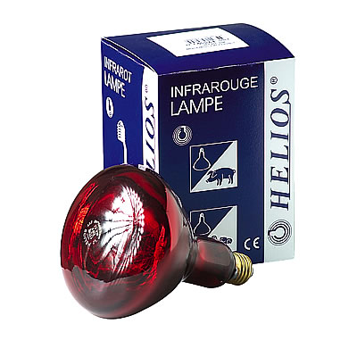 AMPOULE INFRA-ROUGE A VIS ROUGE 250 W