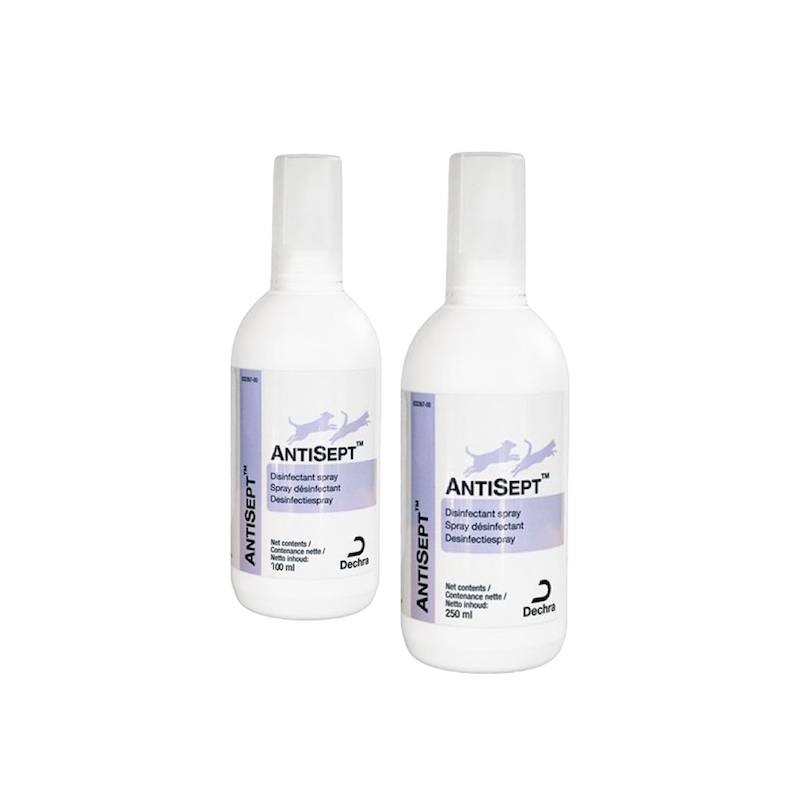 Antisept spray antiseptique pour plaie chien ou chat - JungleVet