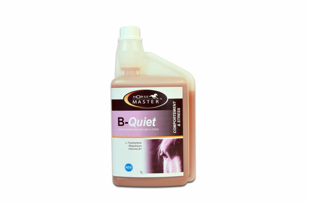 B-QUIET Solution 1 litre