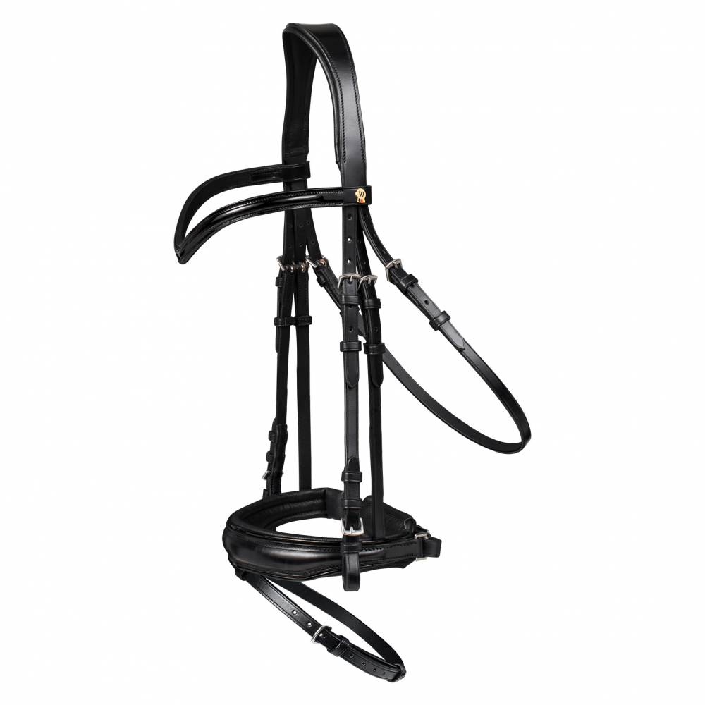 Bridon laqu BLACKSHINE S-Line