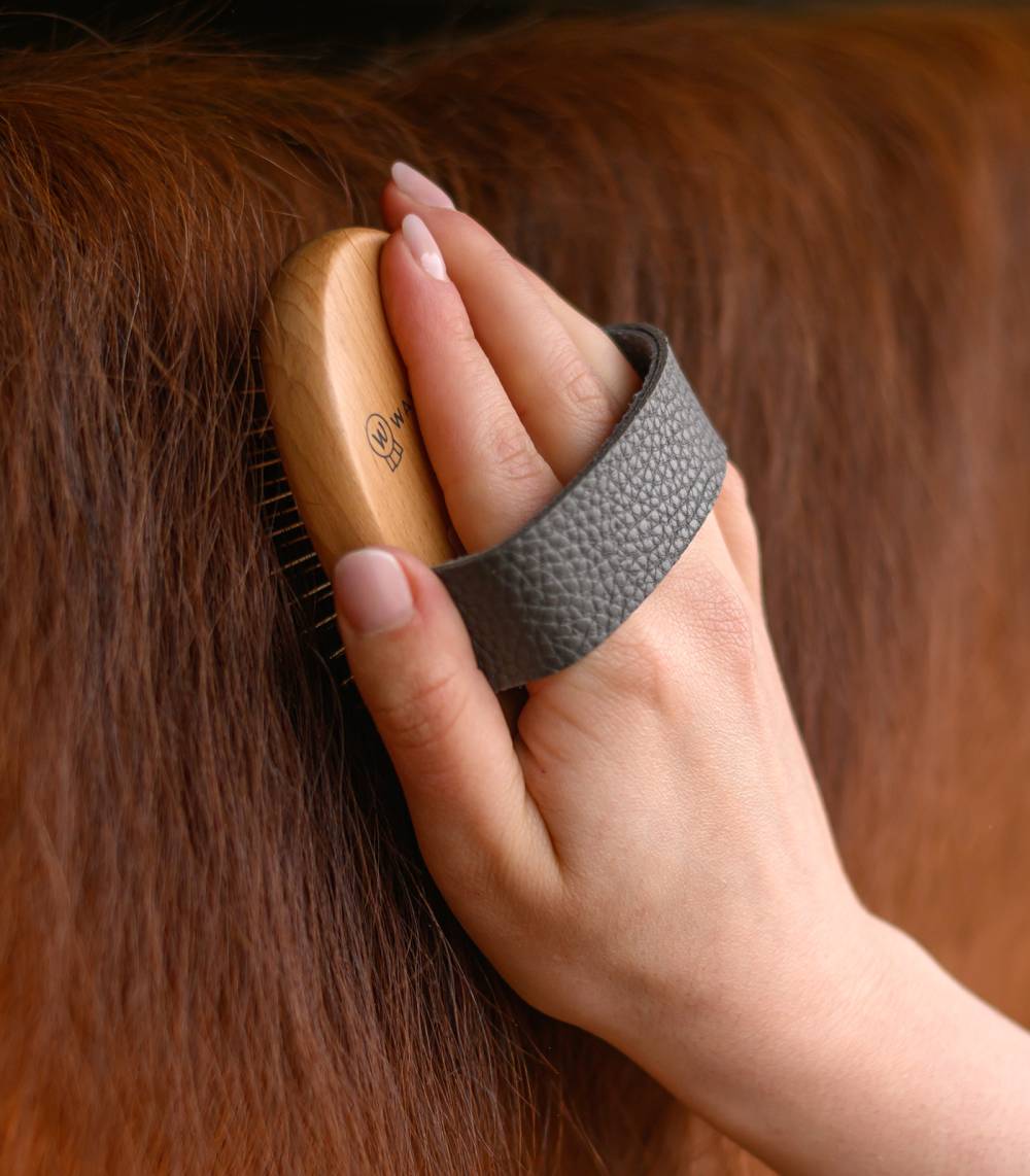 Brosse à crins pour crinière et queue Exclusive Line Brosse à crins pour crinière et queue Exclusive Line