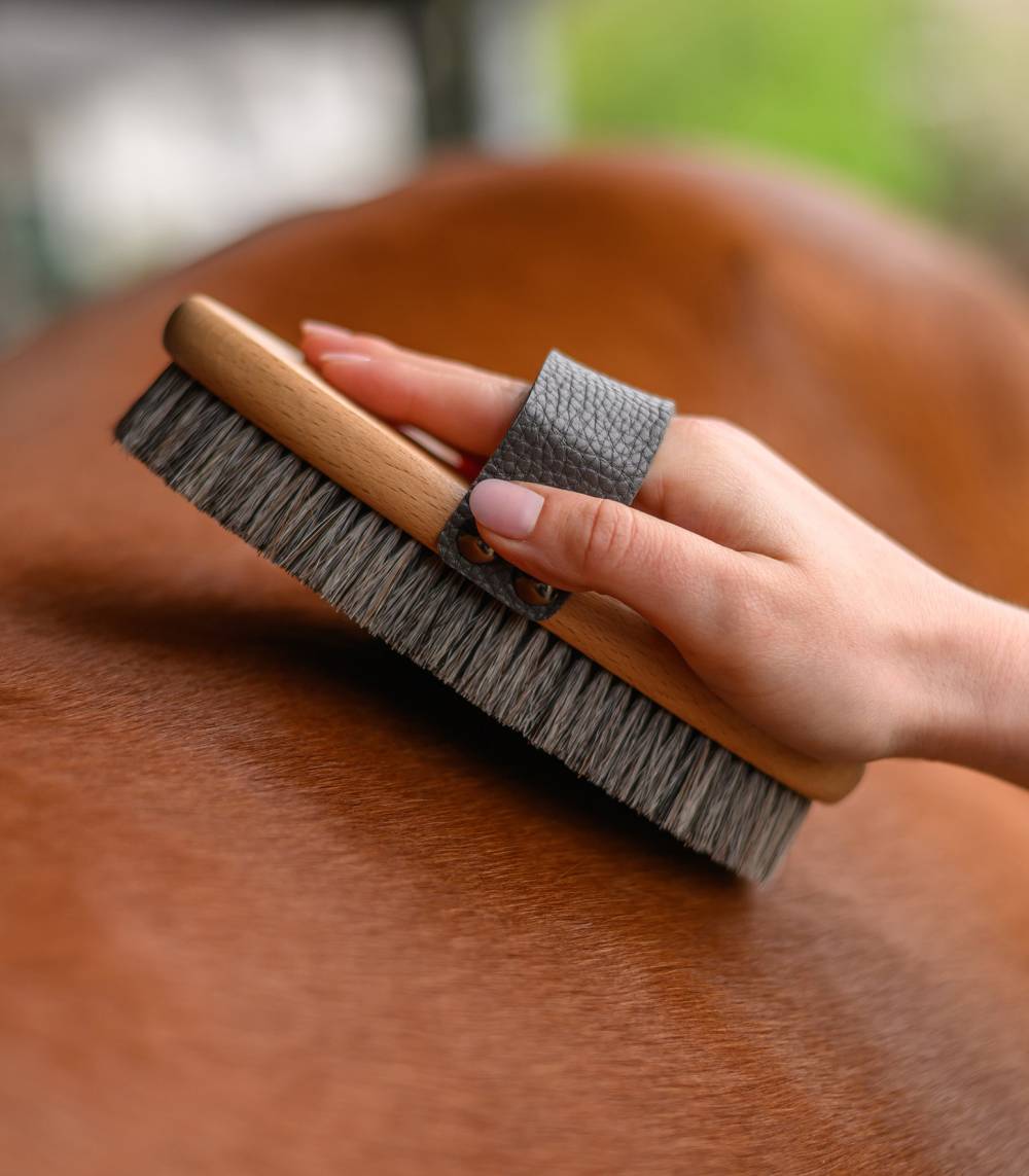 Brosse douce de finition pour pansage EXCLUSIVE LINE Brosse douce de finition pour pansage EXCLUSIVE LINE