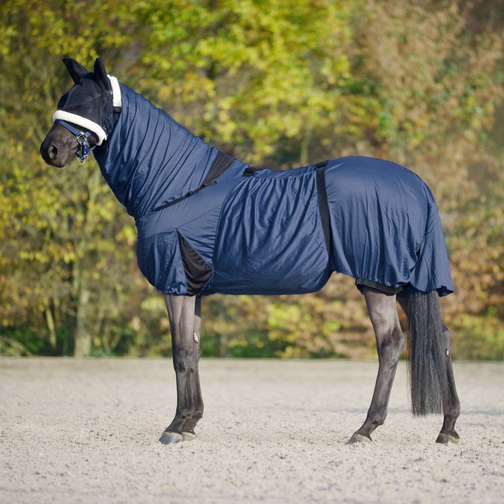 Chemise anti-dermite complte pour chevaux et poneys