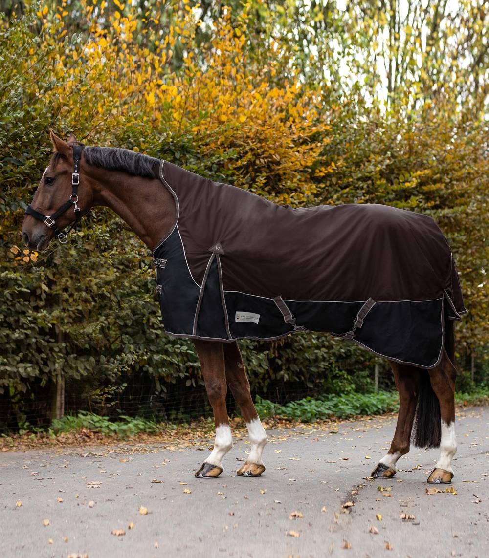 https://www.zoelia.com/fichiers/boutique/couverture-dexterieur-200-g-high-neck-comfort-pour-chevaux/marron-noir-135/couverture-d-exterieur-high-neck-comfort-200-marron-noir-cheval-waldhausen.jpg