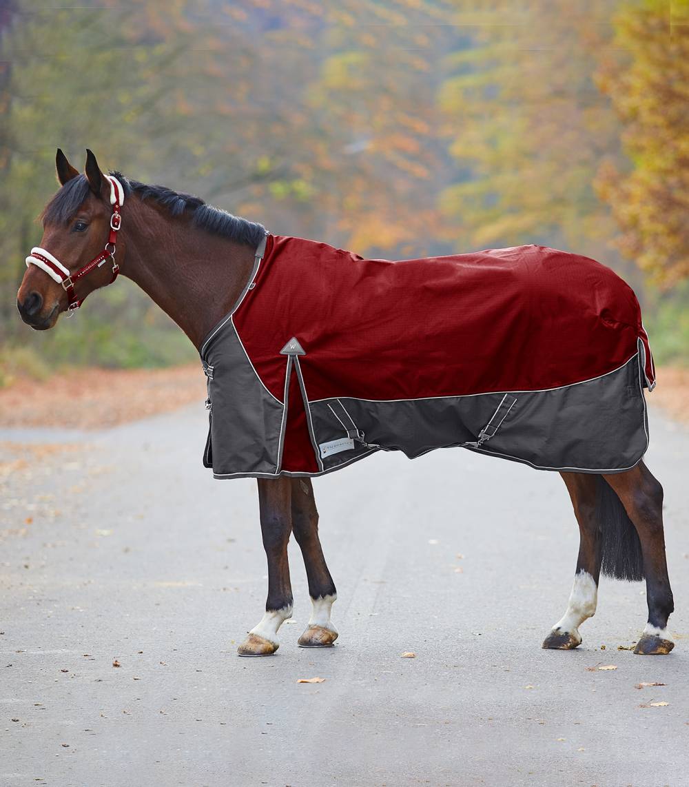 Couverture D'extérieur 300 G Comfort Pour Chevaux - Equipement, Couvertures,  Couvertures D'exterieur - Zoelia, la boutique des animaux bien élevés.