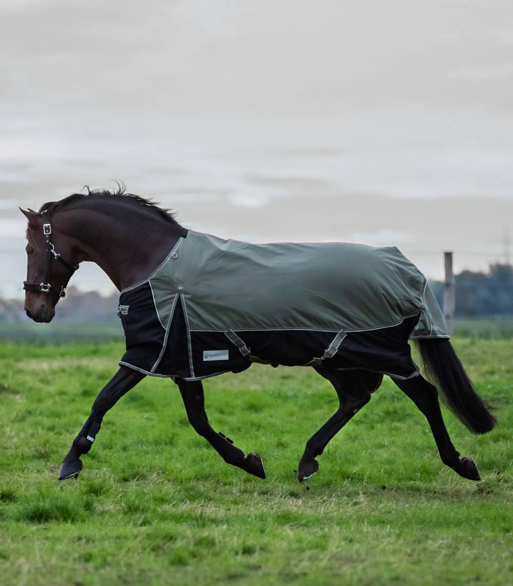 Couverture d'extérieur 50 g COMFORT pour Chevaux