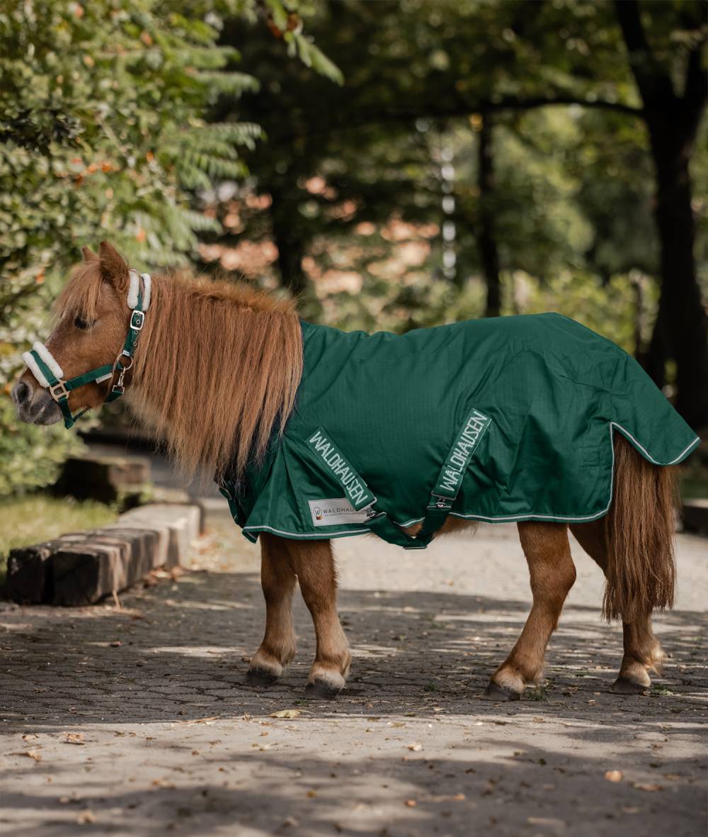 Couverture imperméable 100 g COMFORT SHETTY pour poneys shetland