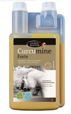 CURCUMINE FORTE Curcumine et Acide hyaluronique Chevaux