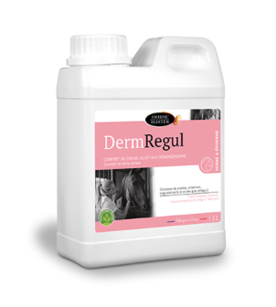 DERM REGUL Dmangeaisons Dermite
