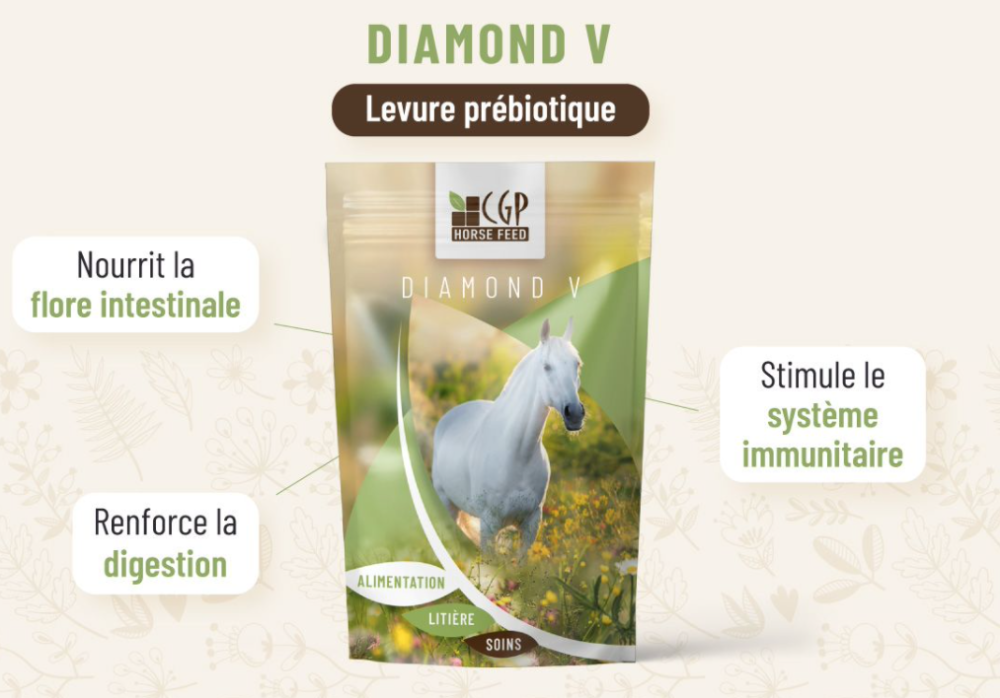 DIAMOND V XP LS Levures Prébiotiques DIAMOND V XP LS Levures Prébiotiques