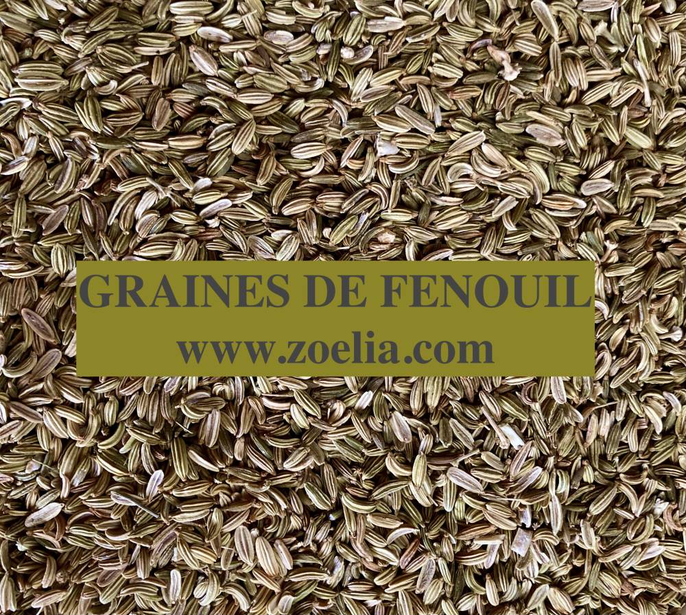 FENOUIL Graines 1 kg