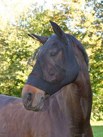 FINOSTRETCH Masque anti-mouches pour chevaux