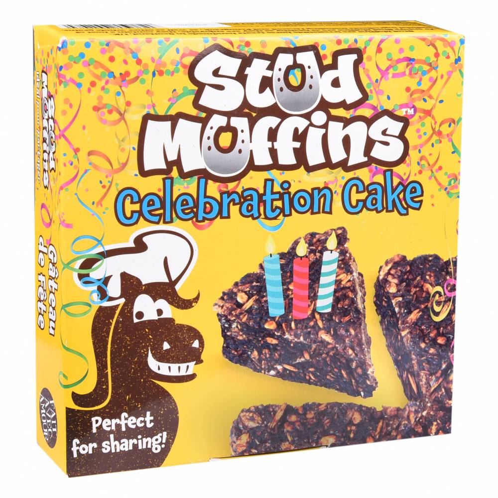 Gateau D Anniversaire Pour Poneys Et Chevaux Stud Muffins Friandises Pour Cheval Gateau D Anniversaire Pour Poneys Et Chevaux Stud Muffins Friandises Pour Cheval