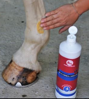 GEL A L'ARNICA PASKA CHEVAL