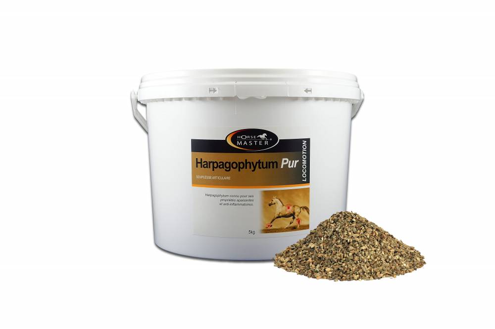 HARPAGOPHYTUM PUR pour Chevaux