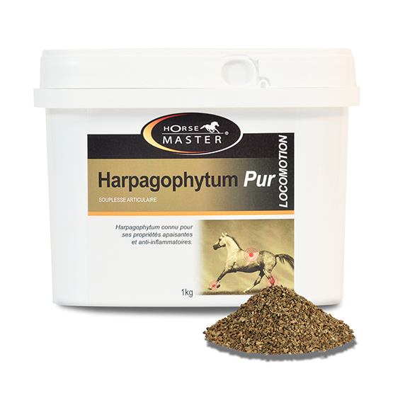 HARPAGOPHYTUM PUR pour Chevaux