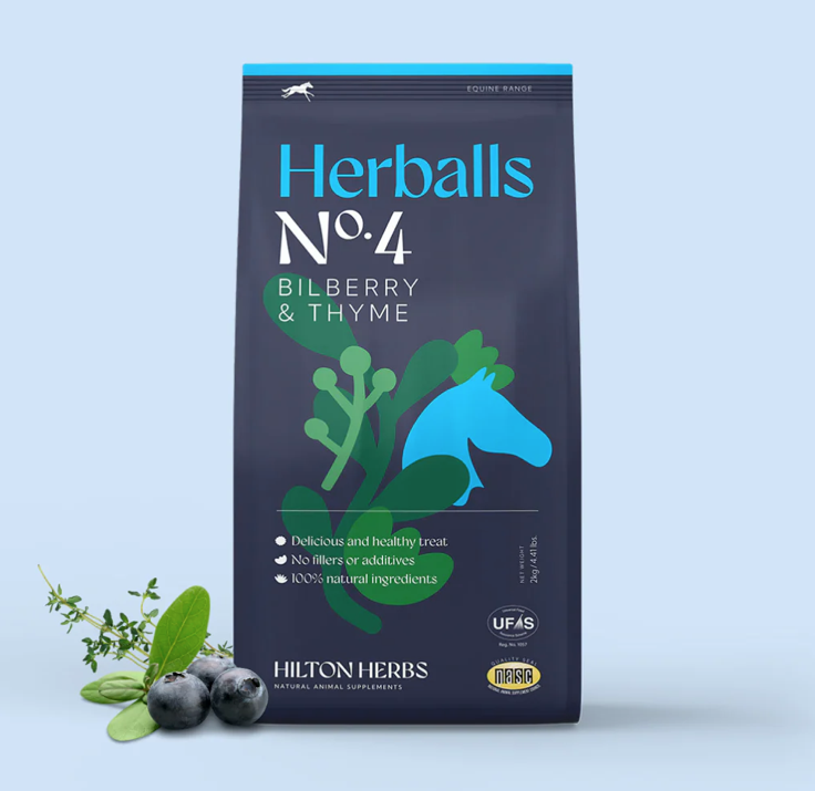 HERBALLS N°4 Myrtille et Thym Friandises pour chevaux