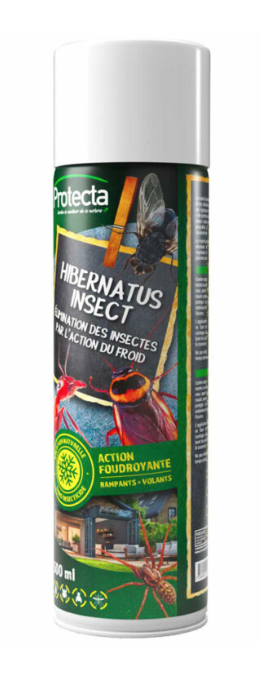 HIBERNATUS INSECT Elimination des insectes par le froid