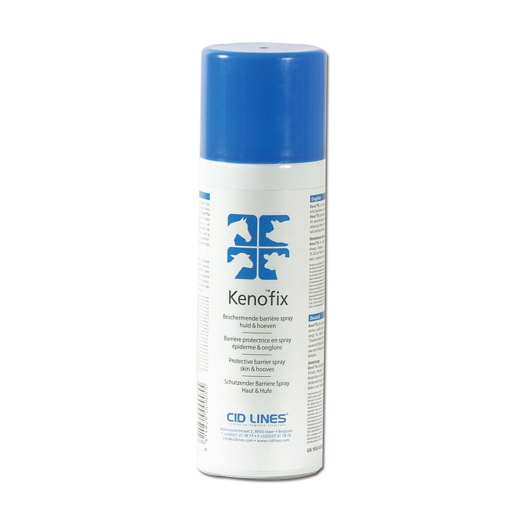 KENO FIX Spray 300 ml