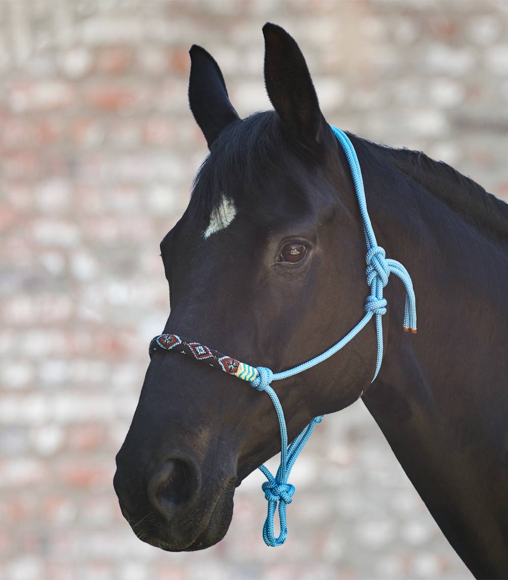 Licol En Corde Pearl Noeuds Et Perles - Equipement, Licols Et Longes,  Licols - Zoelia, la boutique des animaux bien élevés.