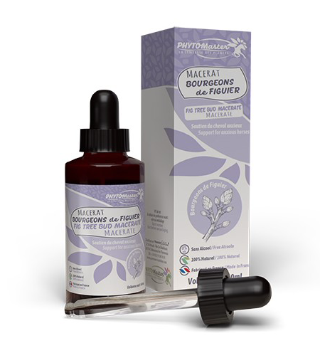 MACERAT DE BOURGEONS DE FIGUIER 60 ml Gemmotherapie MACERAT DE BOURGEONS DE FIGUIER 60 ml Gemmotherapie
