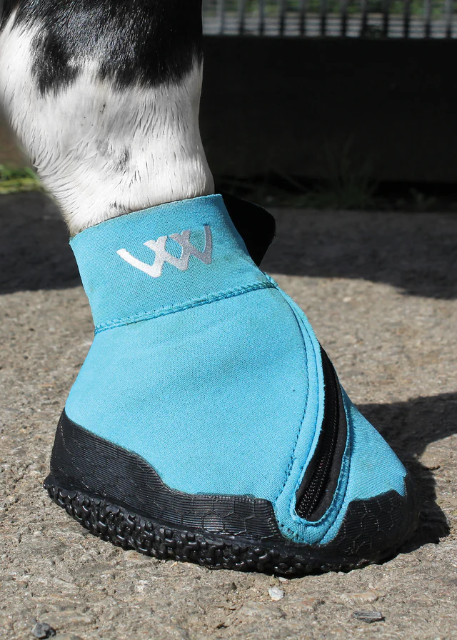 MEDICAL HOOF BOOT Chausson mdical de soin pour sabots WOOF WEAR
