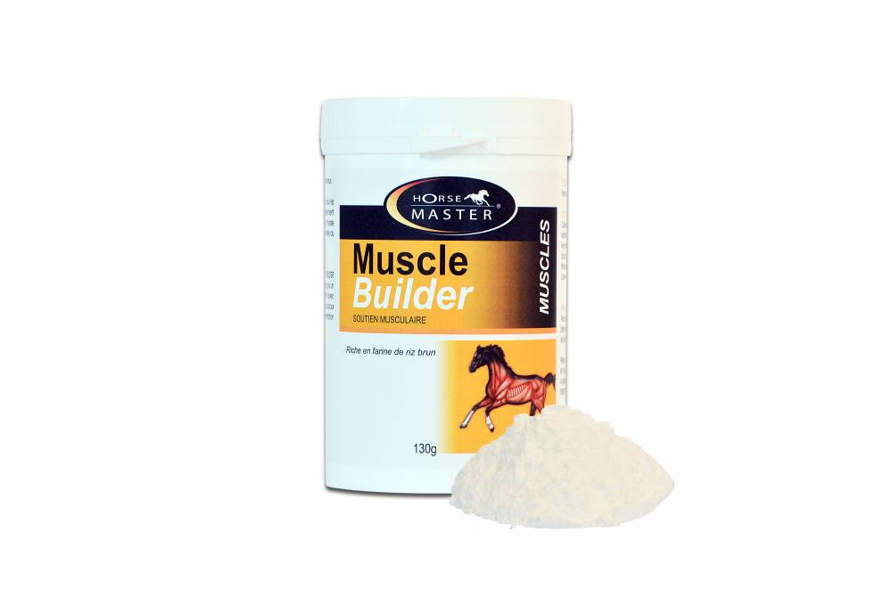 MUSCLE BUILDER pour Chevaux