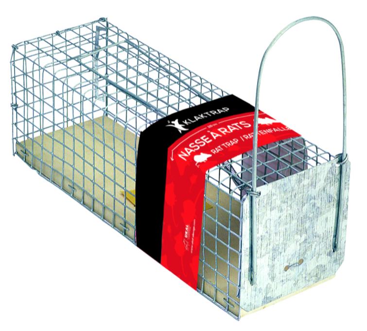 NASSE A RAT 28 cm