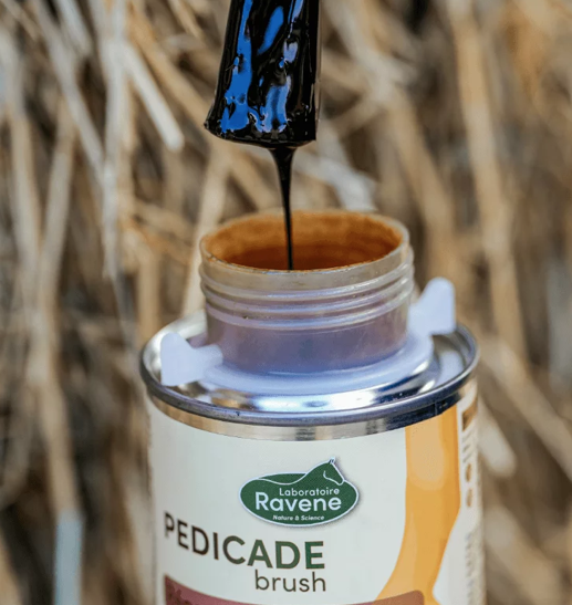 PEDICADE BRUSH Soin pour fourchette à l'huile de cade PEDICADE BRUSH Soin pour fourchette à l'huile de cade
