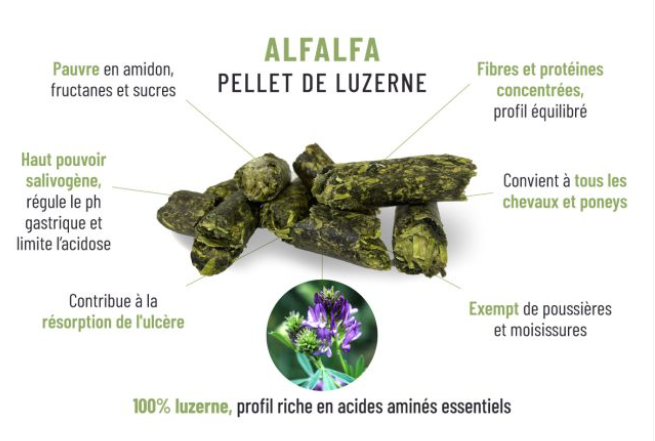 Pellets Alfalfa Granul s De Luzerne Aliments Et Complements Aliments 