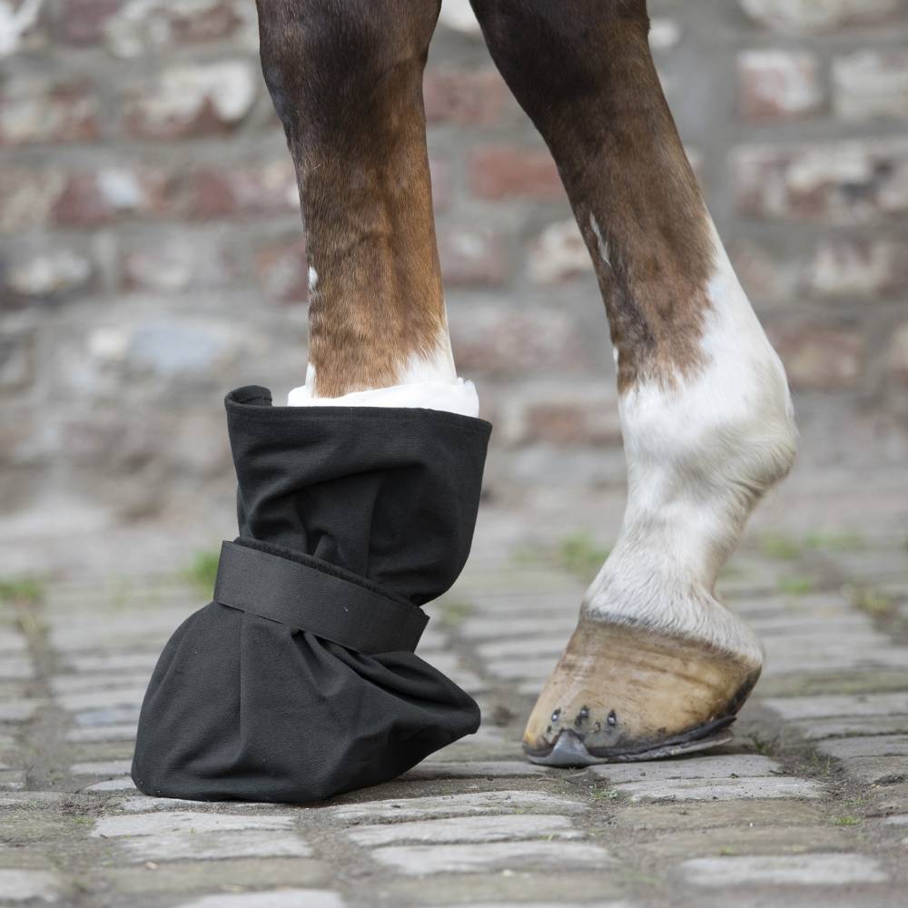 Protection pour bandage de sabots Cheval Poney