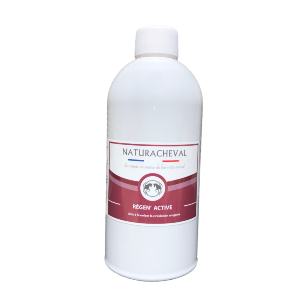 REGEN ACTIVE Circulation sanguine Chevaux
