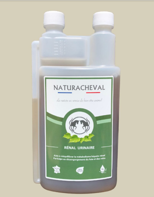 RENAL URINAIRE Drainage h&eacute;patique et r&eacute;nal